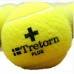 Tretorn plus tennis balls